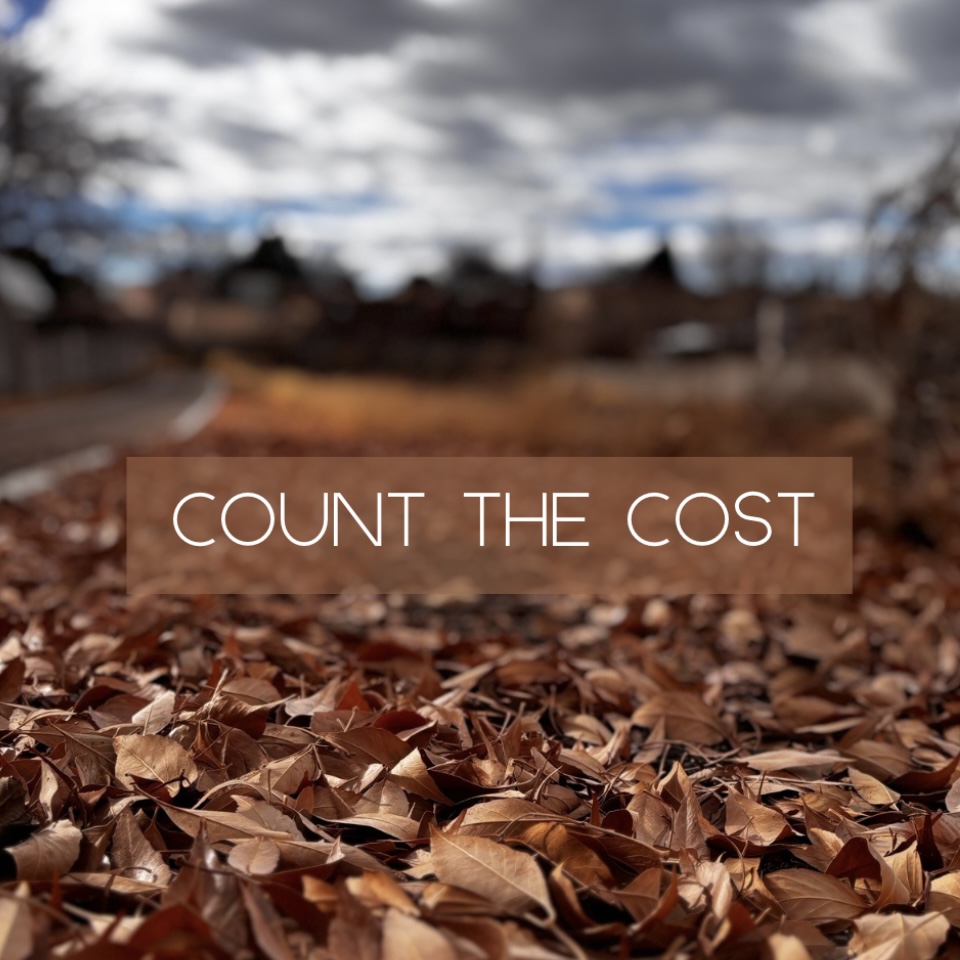 Count The Cost