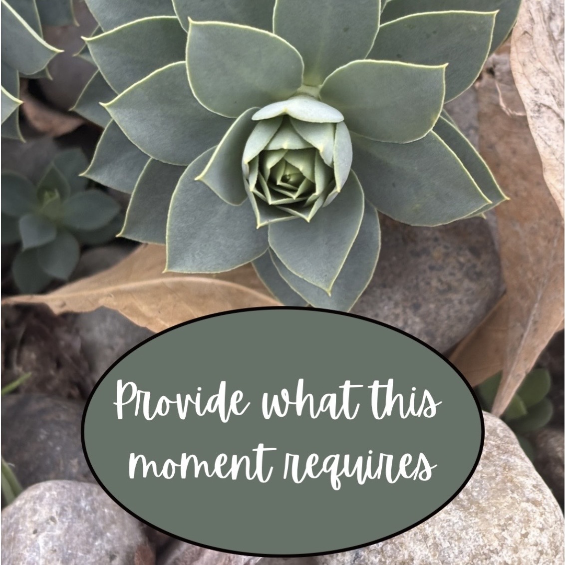 Give Us Enough For Now