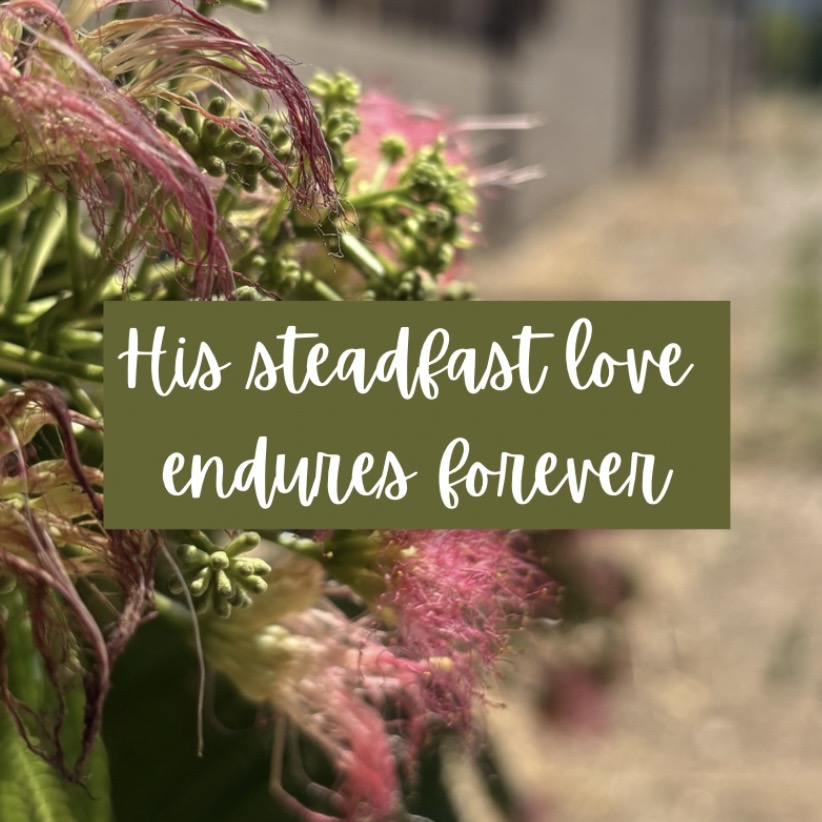 The Only Constant