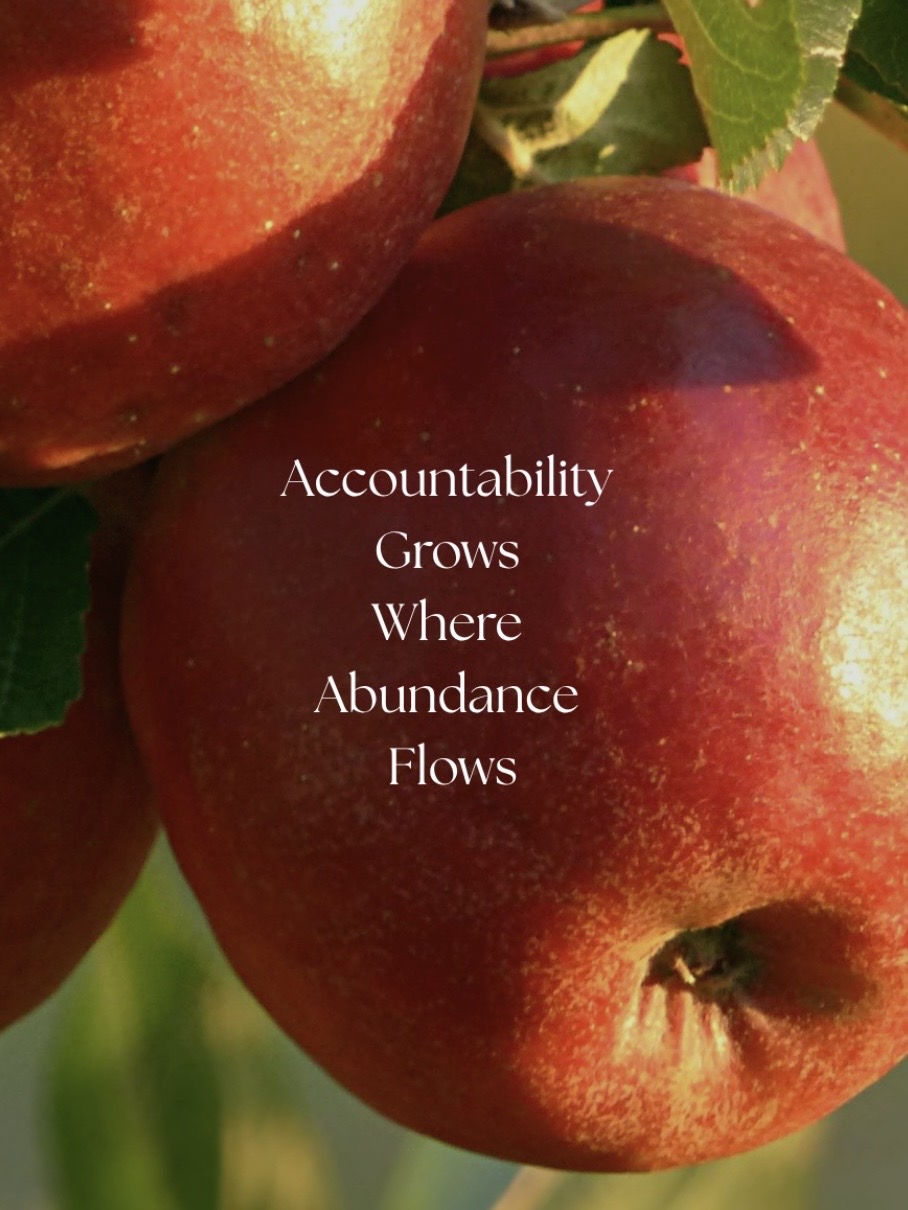 Accountability Grows Where Abundance Flows
